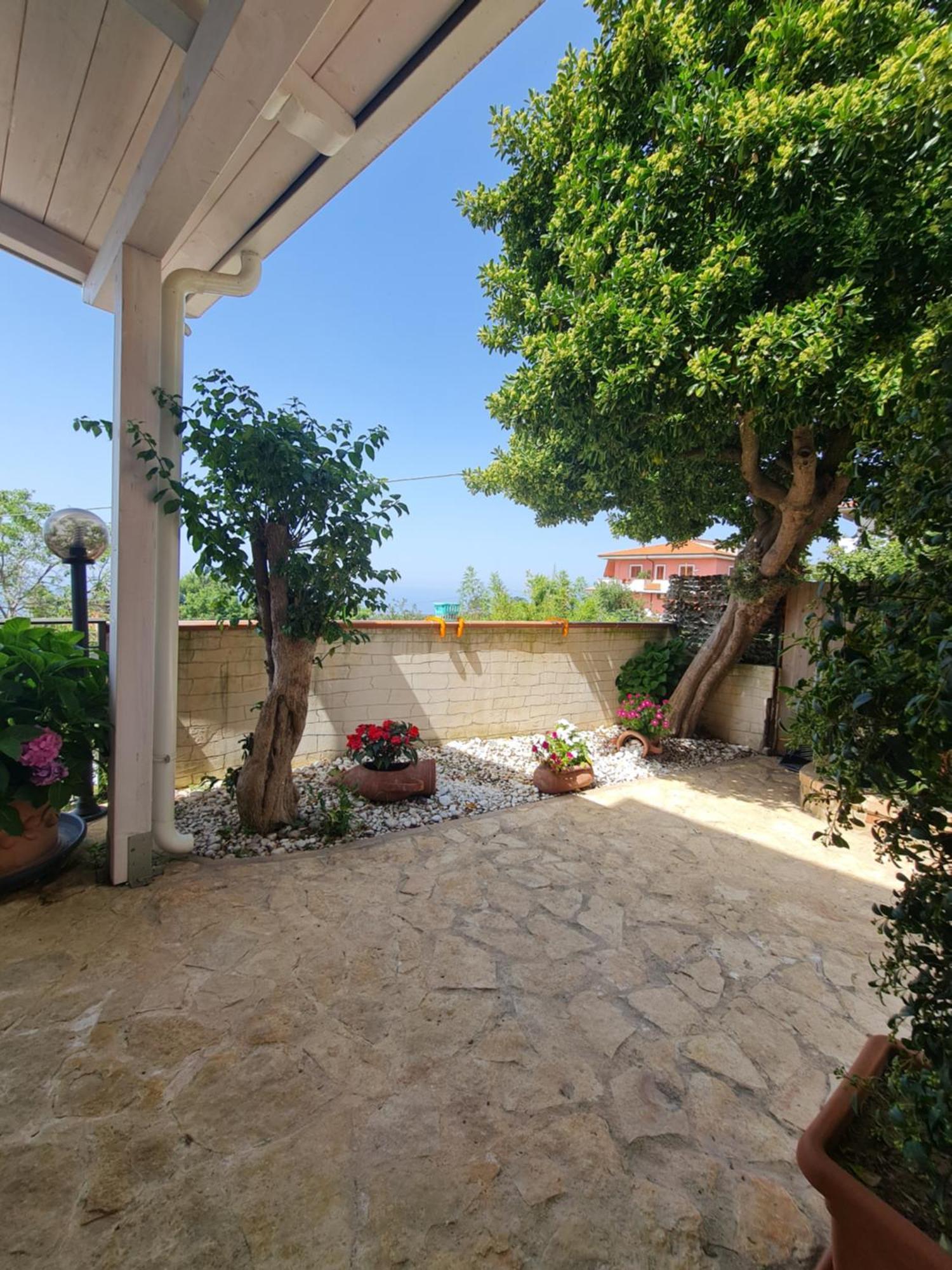 B&B La Casa Di Martina Zambrone Exteriör bild